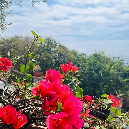 Villa Le Anfore Imperia