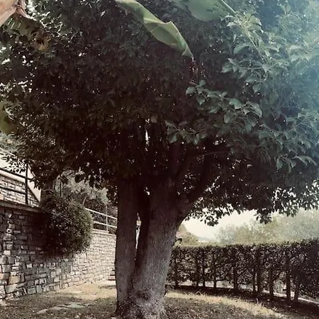 Le Anfore Villa Imperia