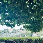Villa Le Anfore Imperia