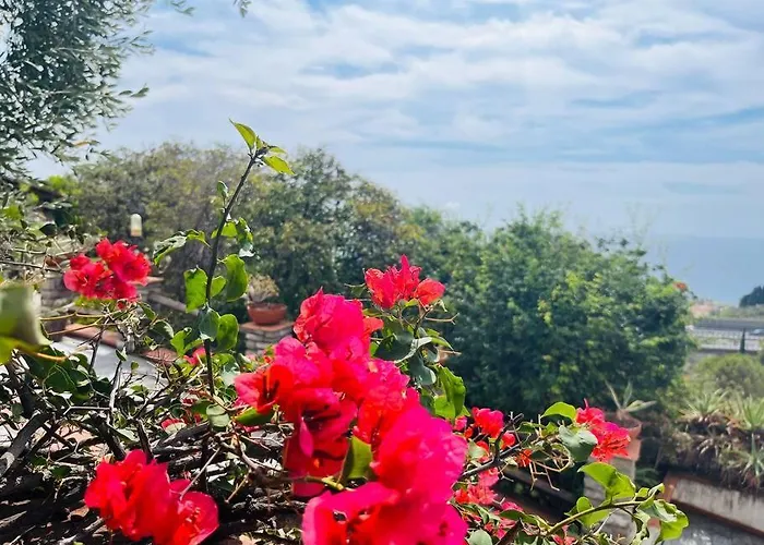 Villa Le Anfore Imperia