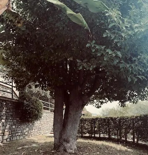 Le Anfore Villa Imperia